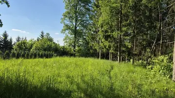Janowice Wlk. Działka bud.  pow 3055m2 z małym drewnanym domem do remontu