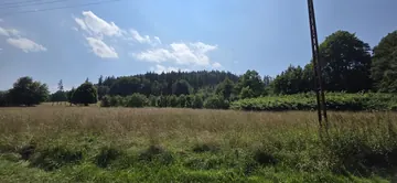 Dom w Wojcieszowie, 4 pokoje, ładny widok