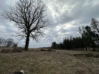 Stara Kamienica w pełni uzbrojone działki :1006m2, 1047m2, 1530m2 w cenie 130zł/m2