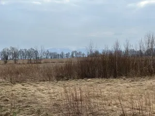 Kromnów 2 działki budowlane 1841m2 oraz 1966m2 w cenie 120zł/m2