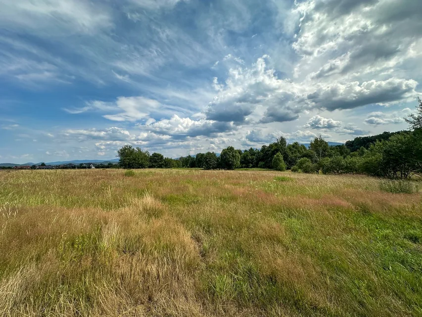Działki budowlane Wojcieszyce, widok na Karkonosze