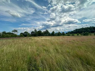 Działki budowlane Wojcieszyce, widok na Karkonosze