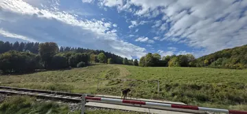 Dwie działki rolne w Wojcieszowie 6 zł/m2