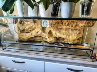 Terrarium  100x40x40cm