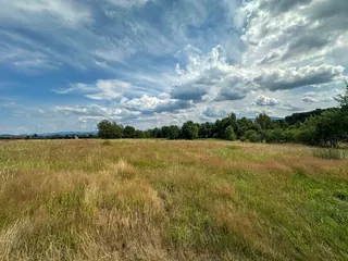 Działka budowlana Wojcieszyce 1 002 m²