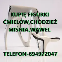 Kupię figurki Ćmielów, Wałbrzych, Chodzież, Miśnia oraz różne ANTYKI,MILITARIA kontakt 694972047