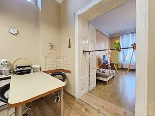 Duże mieszkanie w centrum miasta