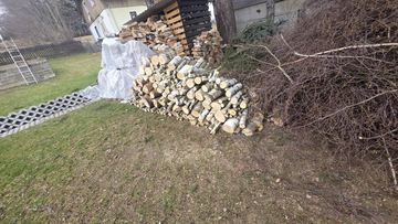 Ogrodnik złota Rączka