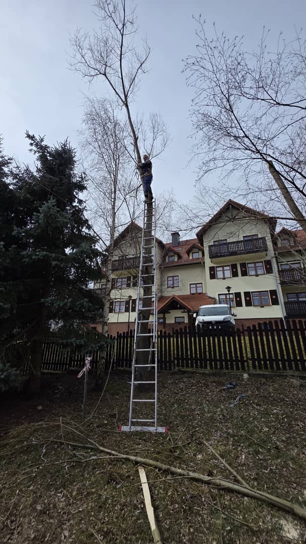 Ogrodnik złota Rączka