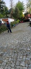 Ogrodnik złota rączka
