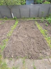 Koszenie trawników prace ogrodowe i nie tylko