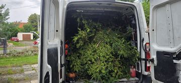24/7 Transport przeprowadzki