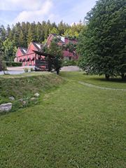 Pralnia | Sprzątanie | Pielęgnacja terenów zielonych-wszystko w jednym miejscu