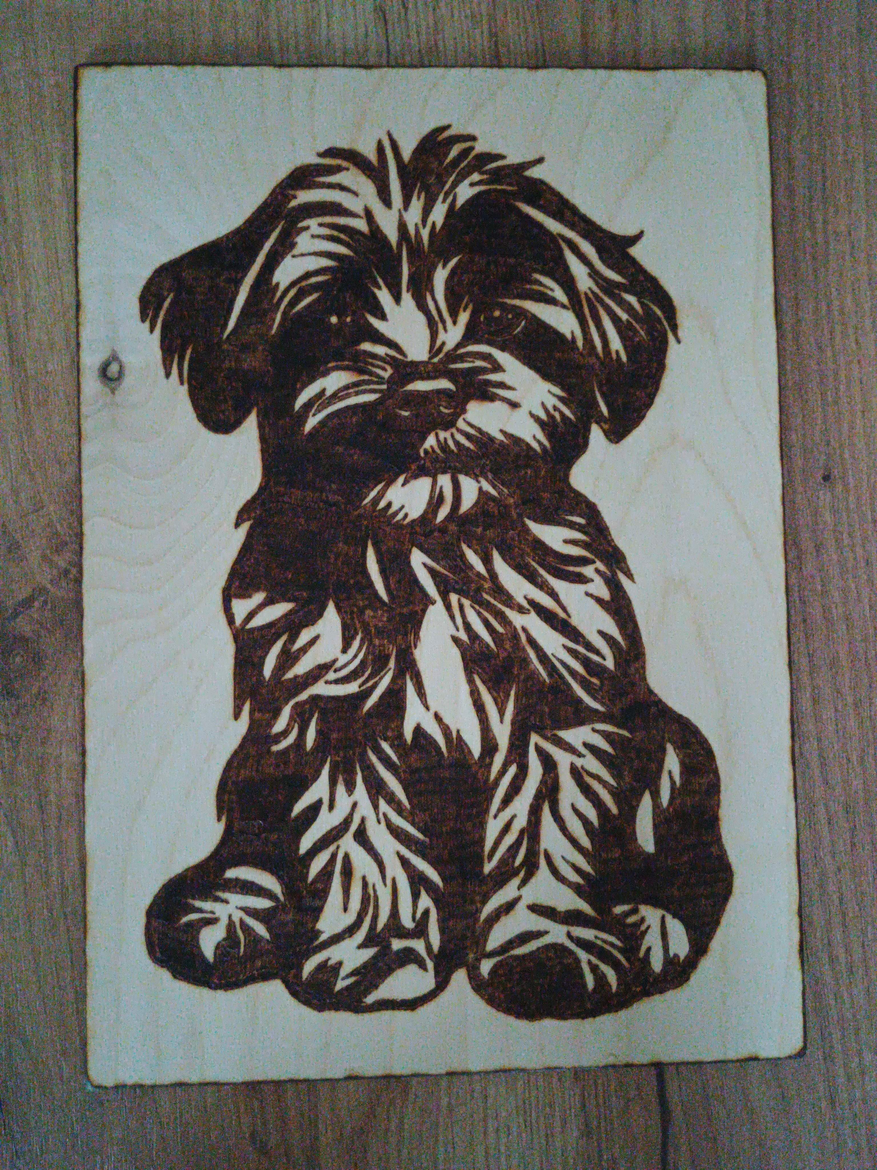 Dekoracja ścienna piesek shih tzu