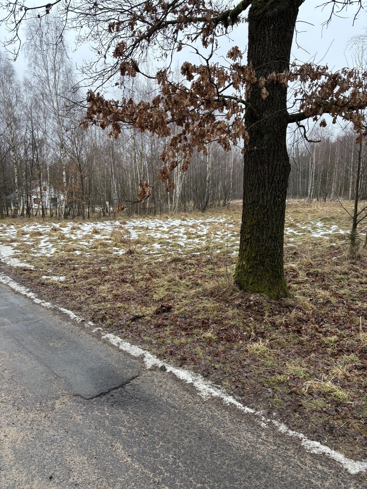 Sprzedam działkę budowlaną w Małej Kamienicy