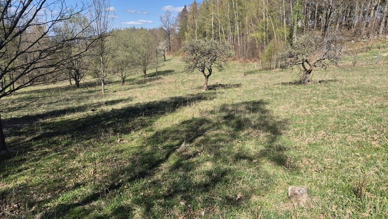 Przesieka . Unikalna , duża działka gruntu do sprzedaży, pow. 1,1 ha
