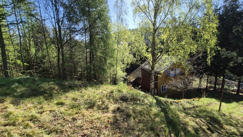 Janowice Wlk. Działka bud.  pow 3055m2 z małym drewnanym domem do remontu