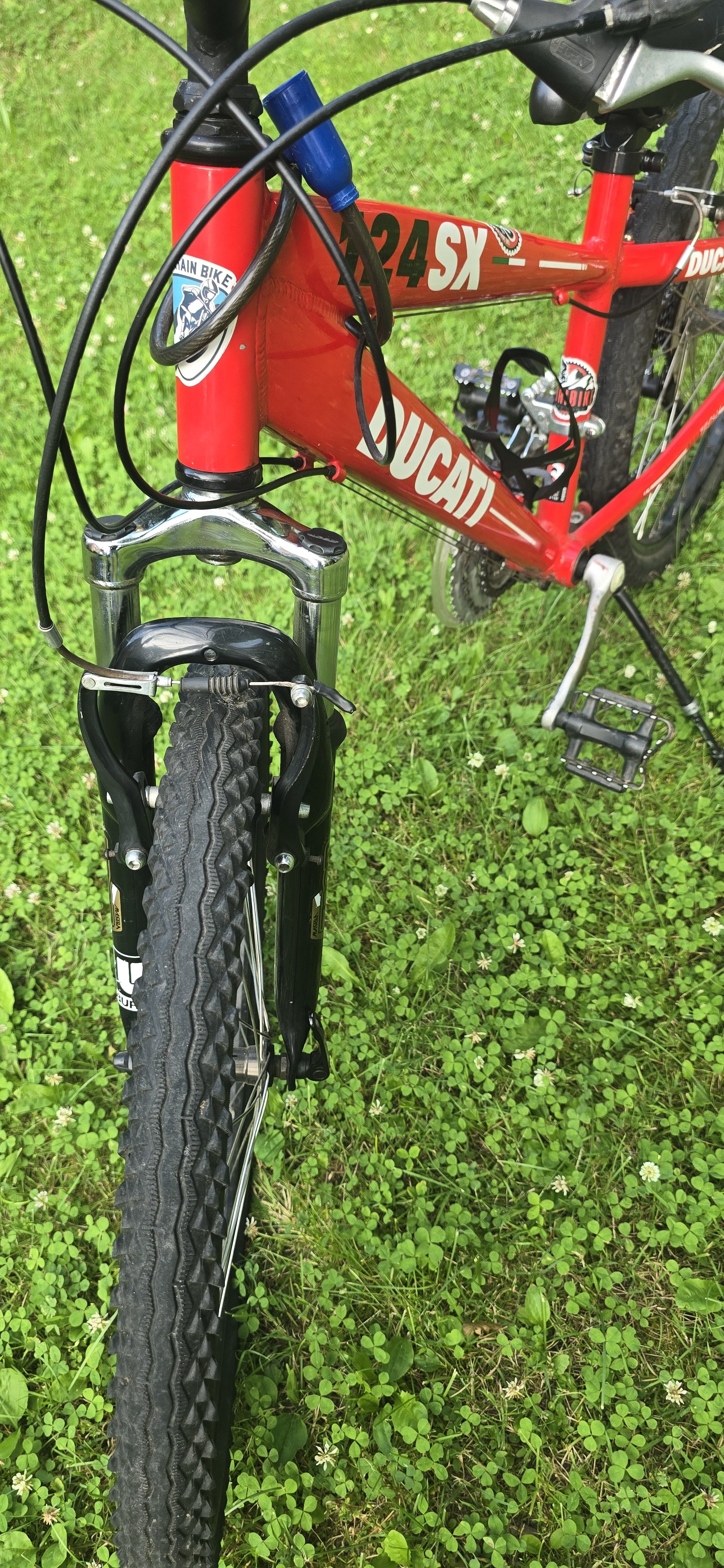 Rower Ducati 124 SX 24'
