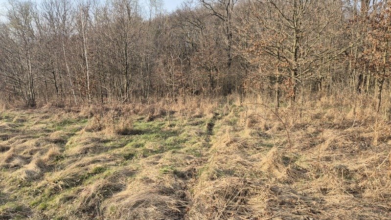 Wojcieszów. Działka gruntu rolnego o pow. 9200m2