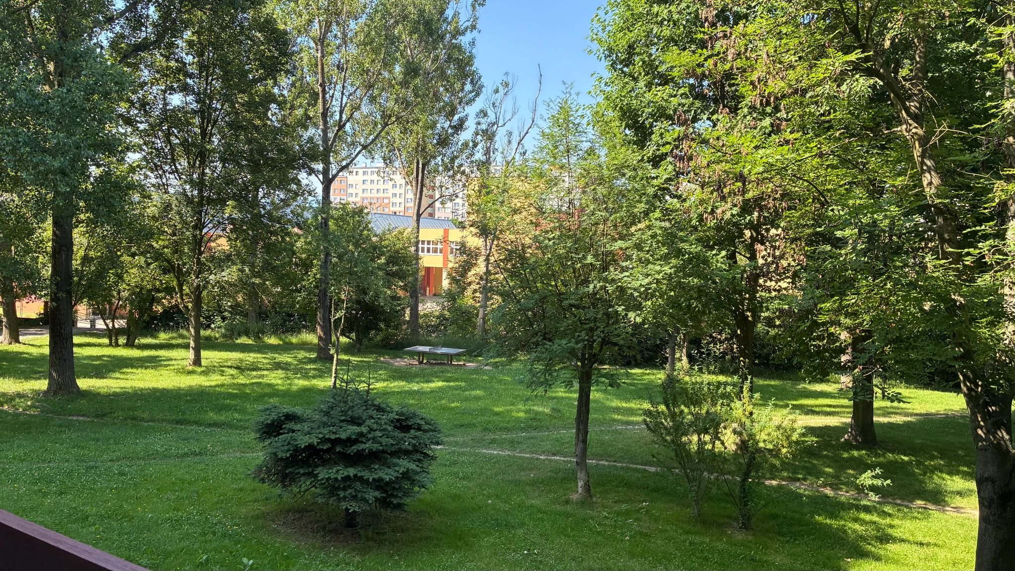 Jasne, zadbane mieszkanie 3-pokojowe z osobną kuchnią