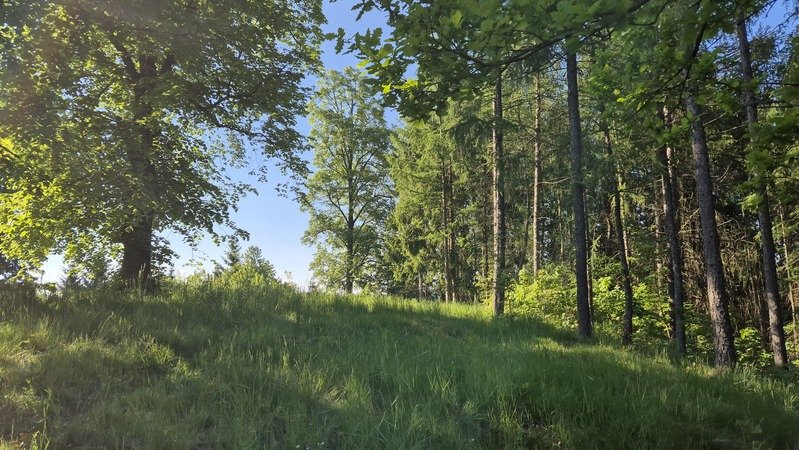 Janowice Wlk. Działka bud.  pow 3055m2 z małym drewnanym domem do remontu