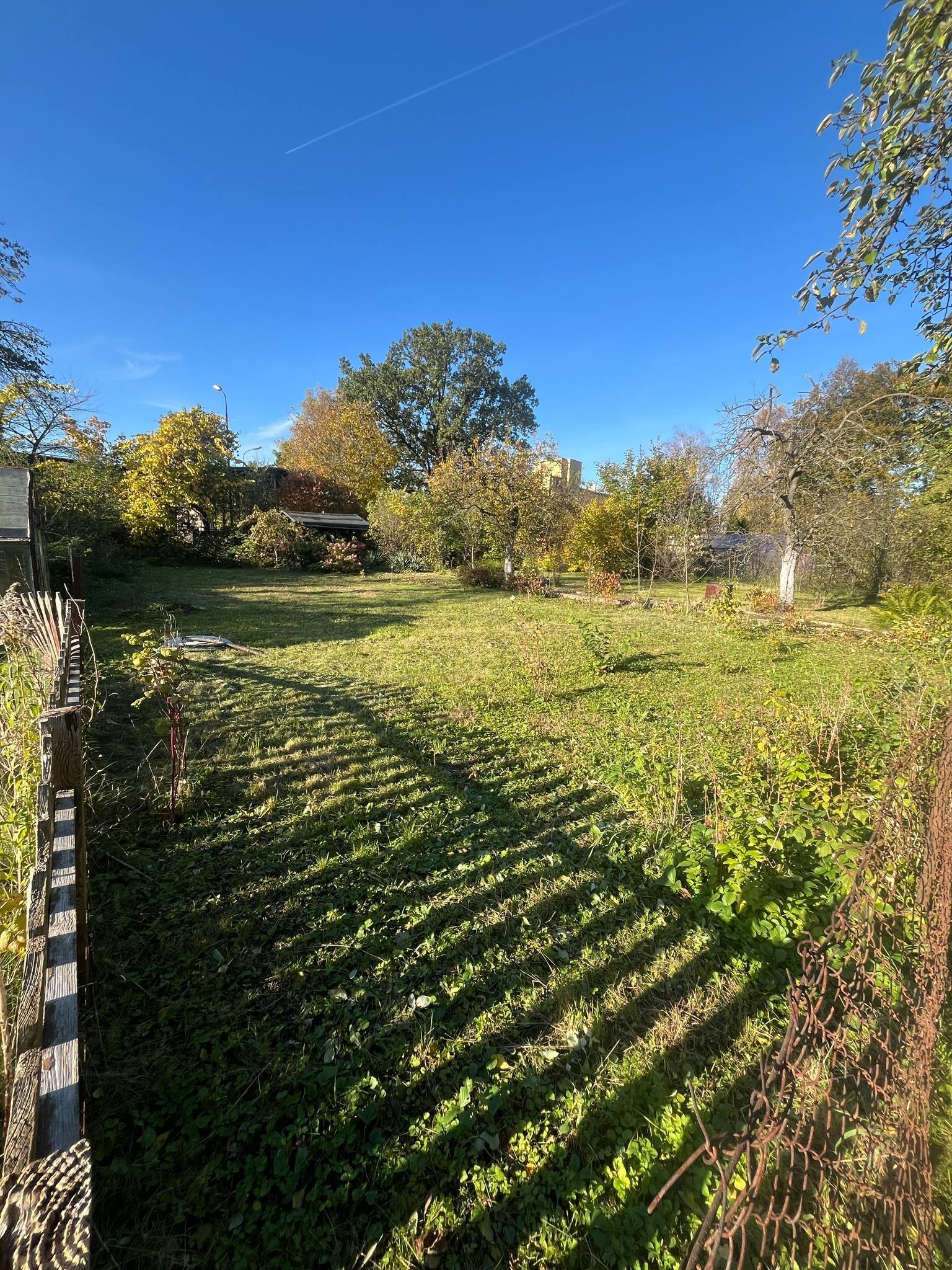 Ogródek działkowy nr 7 - ROD Karola Miarki 1 Jelenia Góra | Działka 520 m² z altaną | Owoce, warzywnik | Gotowa do użytkowania