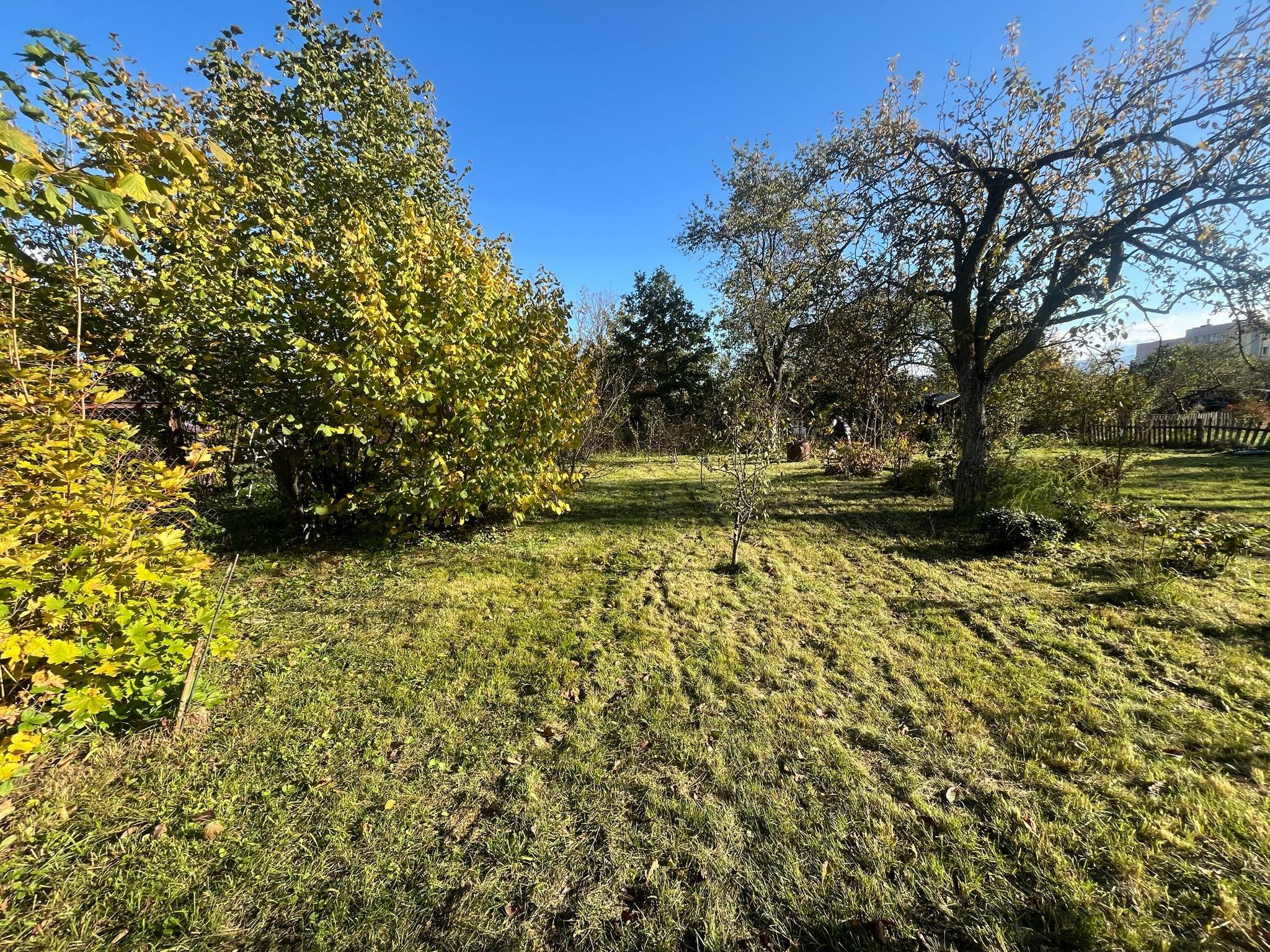 Ogródek działkowy nr 7 - ROD Karola Miarki 1 Jelenia Góra | Działka 520 m² z altaną | Owoce, warzywnik | Gotowa do użytkowania