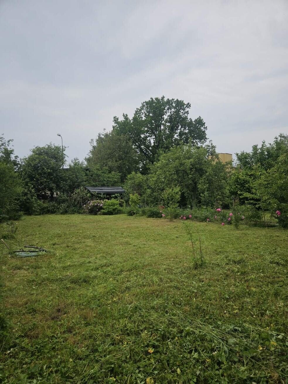 Ogródek działkowy nr 7 - ROD Karola Miarki 1 Jelenia Góra | Działka 520 m² z altaną | Owoce, warzywnik | Gotowa do użytkowania