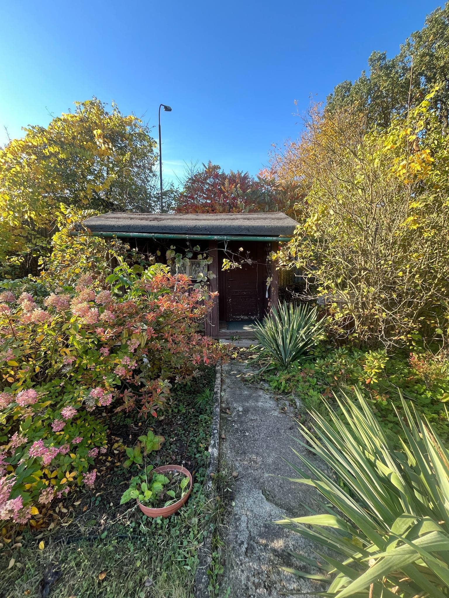 Ogródek działkowy nr 7 - ROD Karola Miarki 1 Jelenia Góra | Działka 520 m² z altaną | Owoce, warzywnik | Gotowa do użytkowania