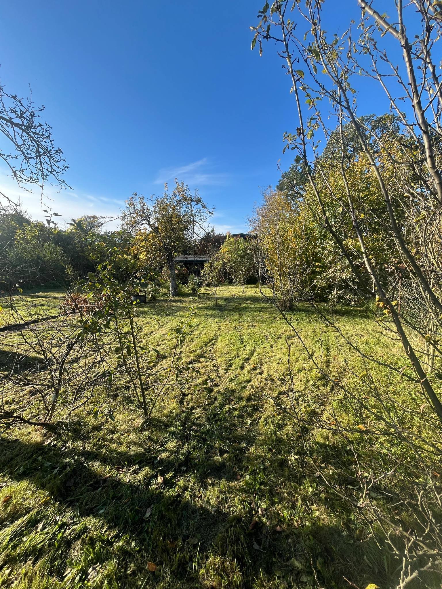 Ogródek działkowy nr 7 - ROD Karola Miarki 1 Jelenia Góra | Działka 520 m² z altaną | Owoce, warzywnik | Gotowa do użytkowania