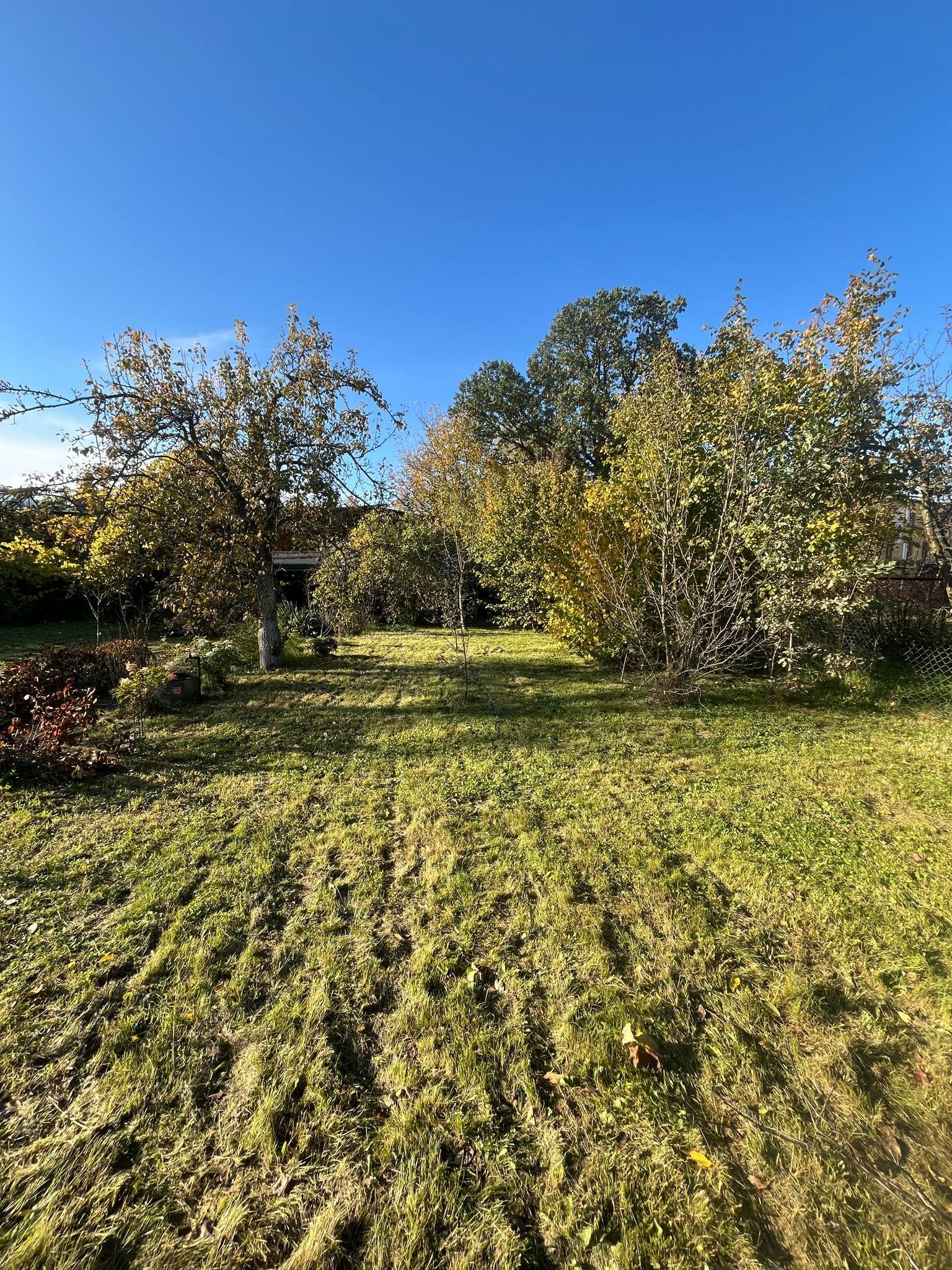 Ogródek działkowy nr 7 - ROD Karola Miarki 1 Jelenia Góra | Działka 520 m² z altaną | Owoce, warzywnik | Gotowa do użytkowania