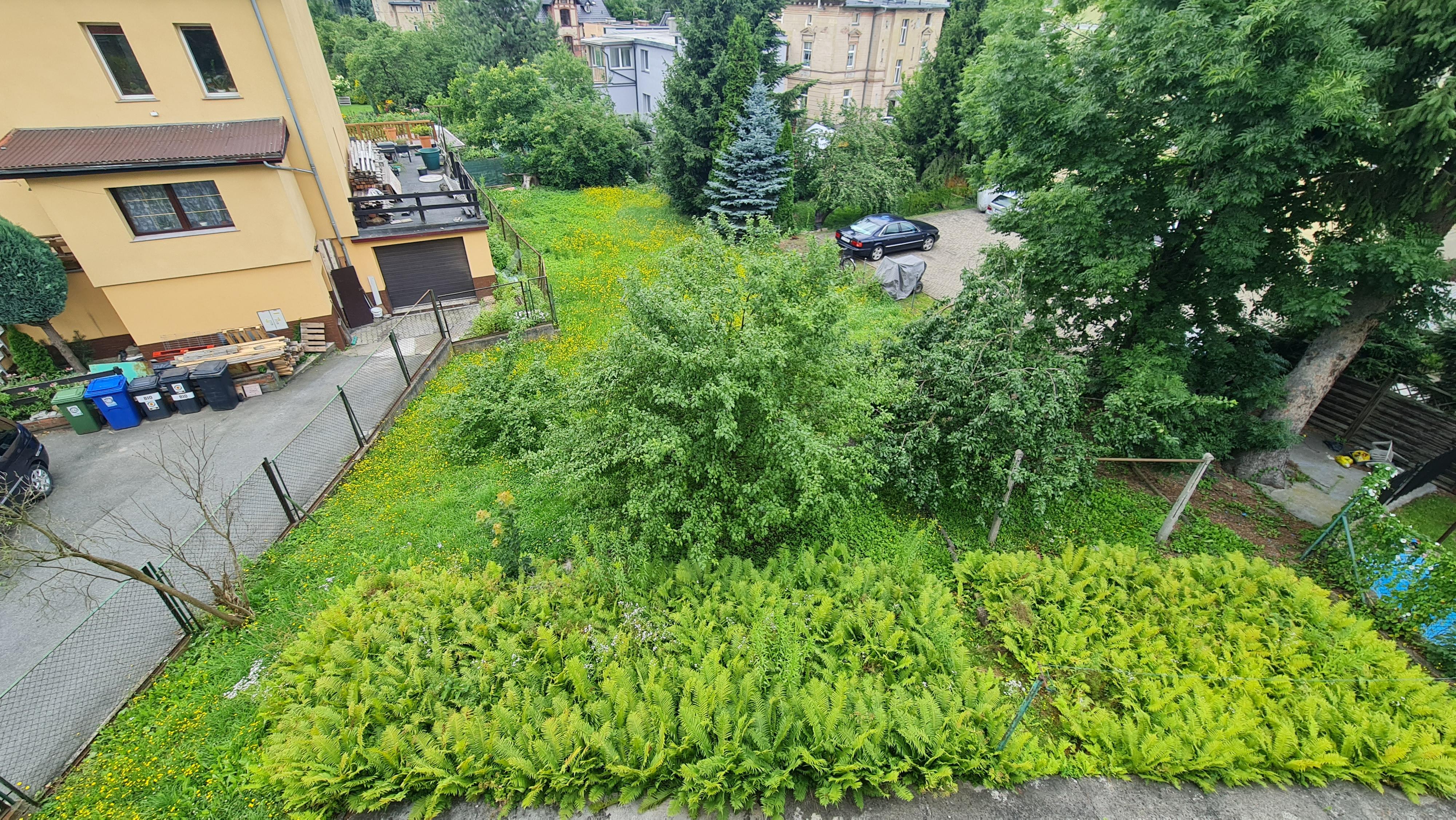 Dom w willowej części Jeleniej Góry