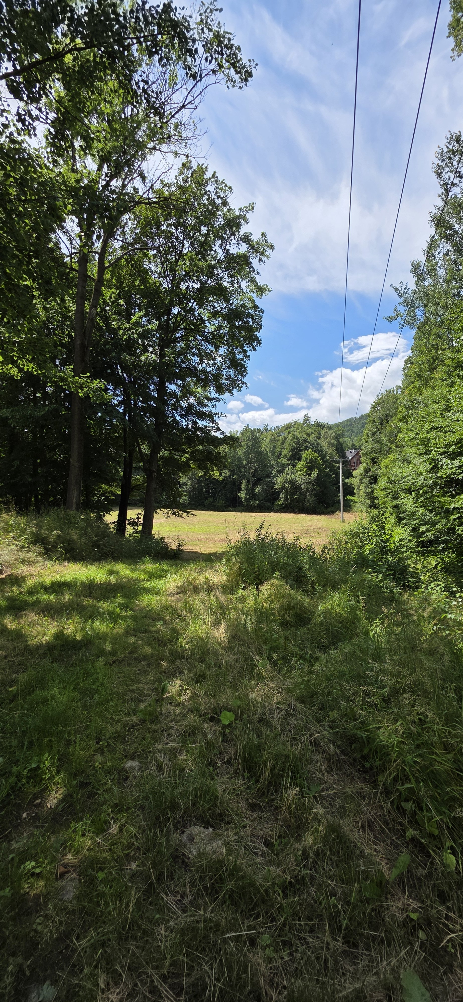 Wyjątkowa działka inwestycyjna 9500 m2 pod Karpaczem