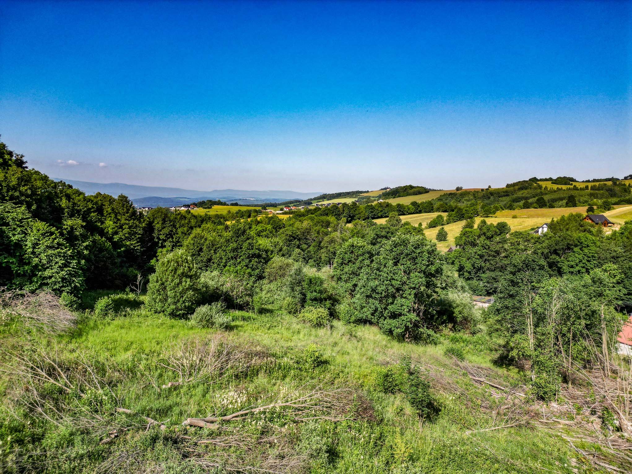 Widokowa działka 2,42 ha - Dziwiszów