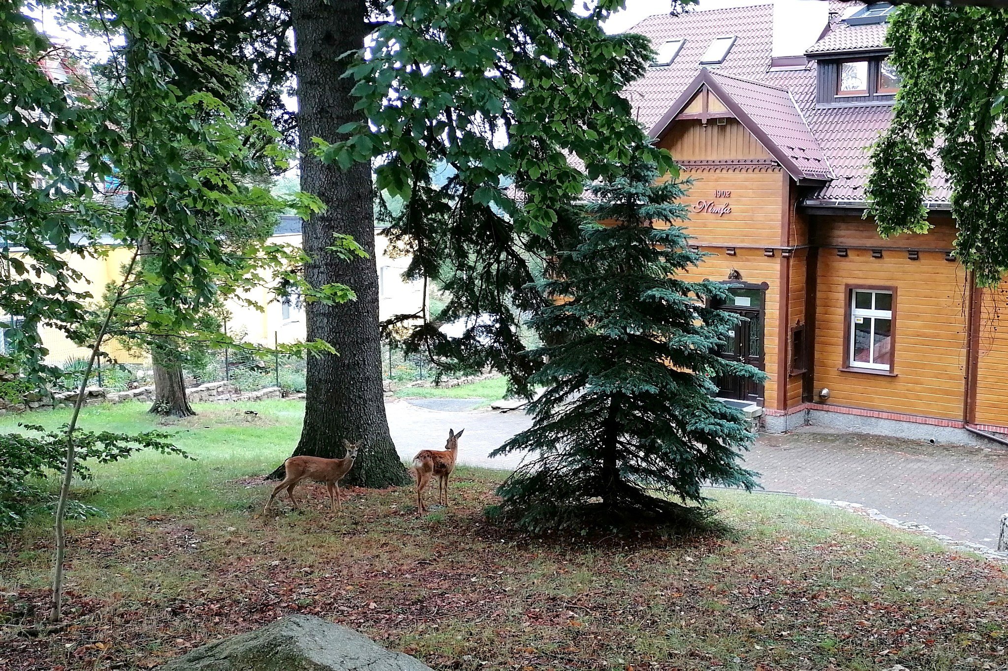 Sprzedam Willę z apartamentami na wynajem w centrum Szklarskiej Poręby