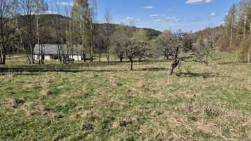Przesieka. działka gruntu 1,1 ha