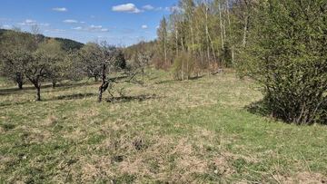 Przesieka. działka gruntu 1,1 ha