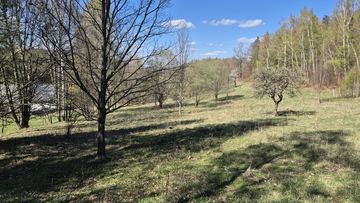 Przesieka. działka gruntu 1,1 ha