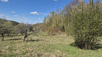 Przesieka. działka gruntu 1,1 ha