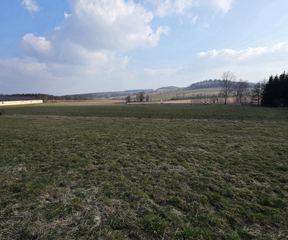 Atrakcyjna działka budowlana w Siedlęcinie