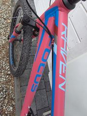 Rower górski FOCUS RAVEN ROOKIE-SHIMANO,amortyzator,alu.XL-ZADBANY