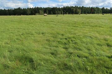Działka gruntu rolnego 3,47 ha. z możliwoscia zabudowy. gm. Stara Kamienica
