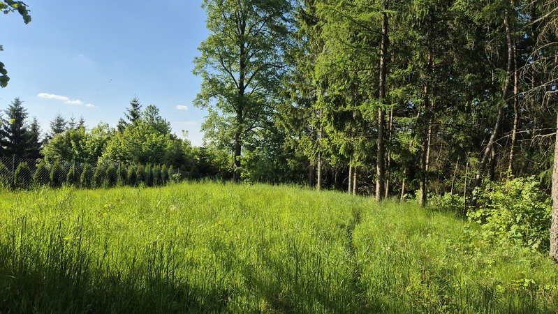 Janowice Wlk. Działka bud.  pow 3055m2 z małym drewnanym domem do remontu