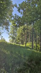 Janowice Wlk. Działka bud.  pow 3055m2 z małym drewnanym domem do remontu