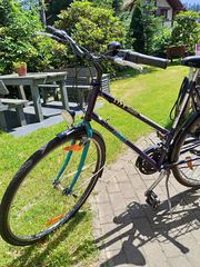 Rower KTM