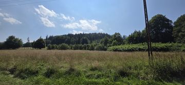Dom w Wojcieszowie, 4 pokoje, ładny widok