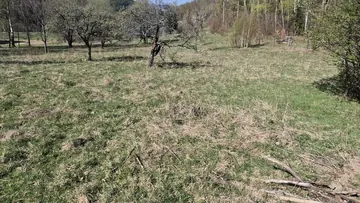 Przesieka . Unikalna , duża działka gruntu do sprzedaży, pow. 1,1 ha
