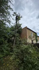 Koszenie trawy prace ogrodowe