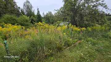Koszenie trawy prace ogrodowe