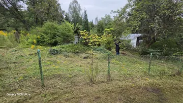 Koszenie trawy prace ogrodowe